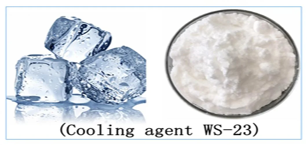 Food Additive CAS 51115-67-4 Cooling Agent Ws23