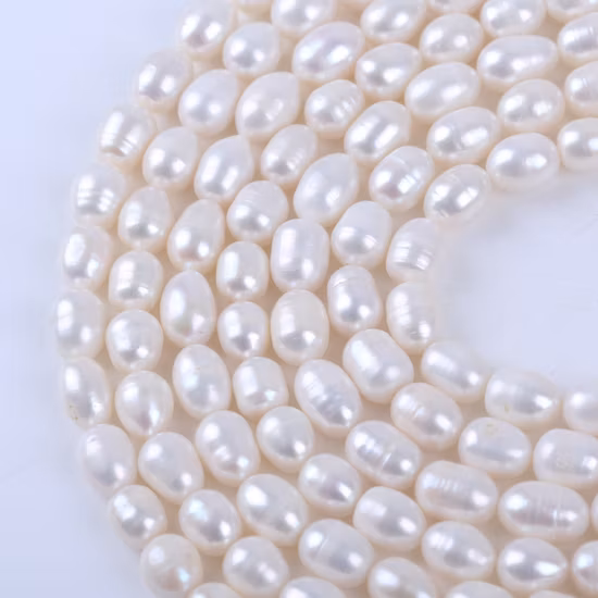 Aliments diététiques à faible teneur en glucides Riz Konjac Riz diabétique Shirataki Riz perlé